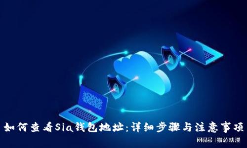 如何查看Sia钱包地址：详细步骤与注意事项