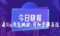 如何查看Sia钱包地址：详