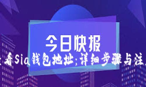 如何查看Sia钱包地址：详细步骤与注意事项