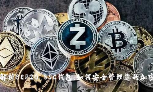 全面解析BEP20 BSC钱包：如何安全管理您的加密资产