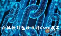 如何解决小狐狸钱包提币