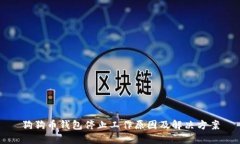 狗狗币钱包停止工作原因及解决方案