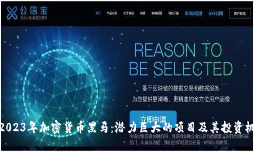 : 2023年加密货币黑马：潜力巨大的项目及其投资机会