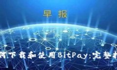 如何下载和使用BitPay：完