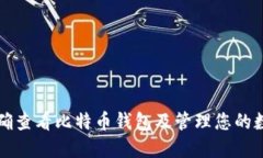 如何正确查看比特币钱包