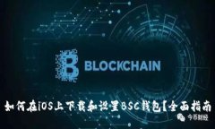 如何在iOS上下载和设置B