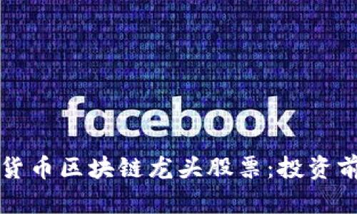 深入分析数字货币区块链龙头股票：投资前景与市场动态