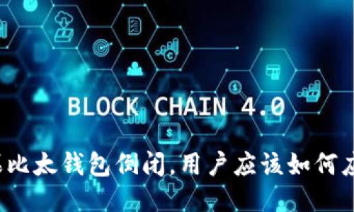 如果比太钱包倒闭，用户应该如何应对？