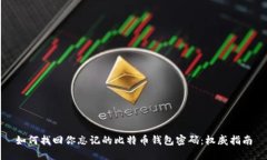 如何找回你忘记的比特币