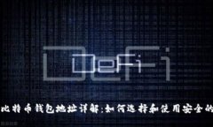 国际比特币钱包地址详解：如何选择和使用安全