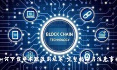 如何下载中本聪最新版本：完整指南与注意事项
