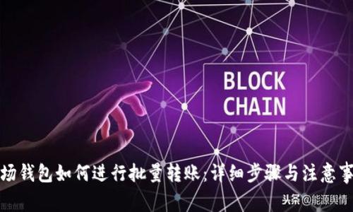 波场钱包如何进行批量转账：详细步骤与注意事项