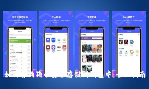 如何将狗狗币安全存储到钱包中：全面指南
