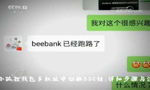如何在小狐狸钱包手机版中切换BSC链：详细步骤与注意事项