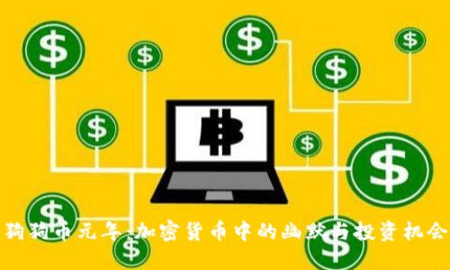 狗狗币元年：加密货币中的幽默与投资机会