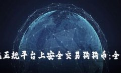 如何在正规平台上安全交易狗狗币：全面指南