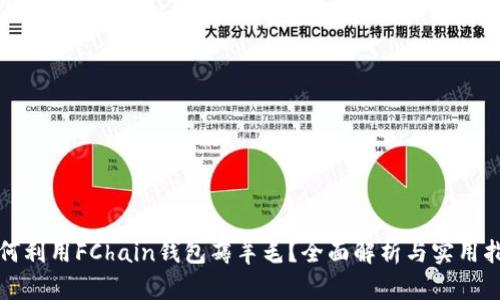 如何利用FChain钱包薅羊毛？全面解析与实用指南