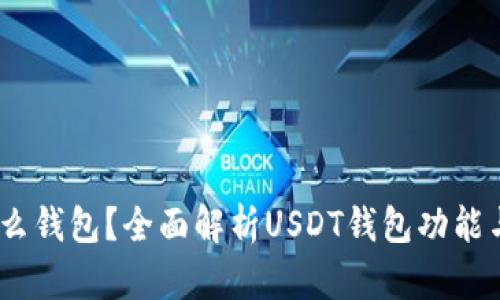 USDT是什么钱包？全面解析USDT钱包功能与使用指南