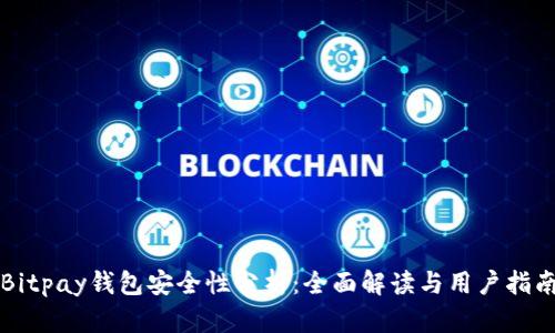 Bitpay钱包安全性分析：全面解读与用户指南