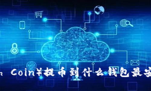 SC（Stealth Coin）提币到什么钱包最安全及便捷？