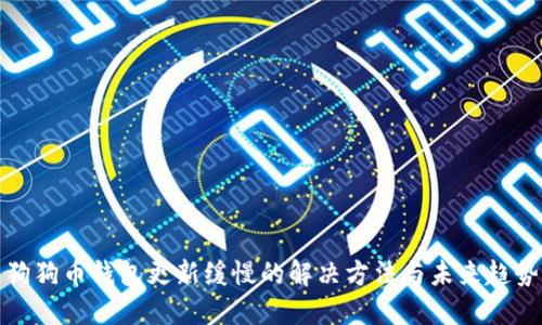 狗狗币钱包更新缓慢的解决方法与未来趋势