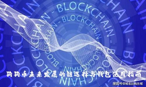 狗狗币未来发展的链选择与钱包使用指南