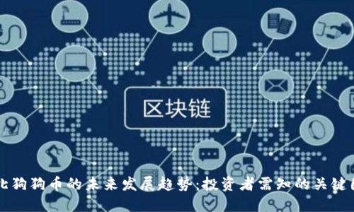 淮北狗狗币的未来发展趋势：投资者需知的关键因素