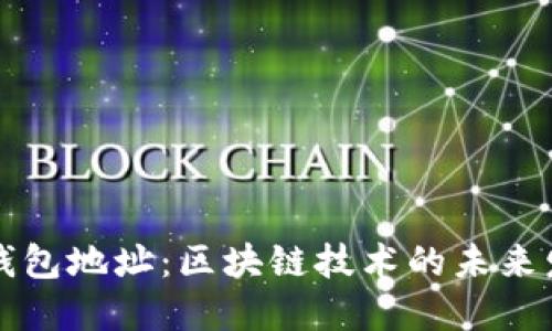 公钥与钱包地址：区块链技术的未来发展趋势