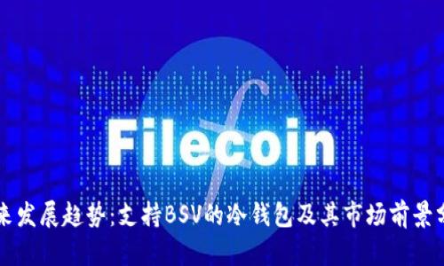 未来发展趋势：支持BSV的冷钱包及其市场前景分析
