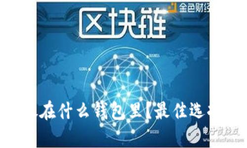 大零币（DCR）存放在什么钱包里？最佳选择及未来发展趋势