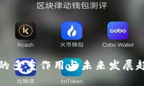 波场币的多重作用与未来发展趋势分析