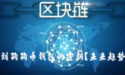 如何安全找到狗狗币钱包的密钥？未来趋势和注意事项