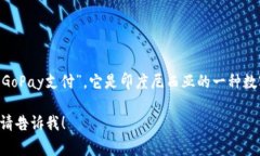 GoPay 钱包在中文中通常被称作“GoPay钱包”或“