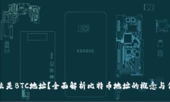 什么是BTC地址？全面解析比特币地址的概念与作