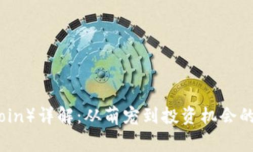狗狗币(Dogecoin)详解:从萌宠到投资机会的虚拟货币崛起