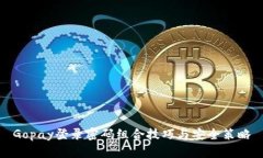 Gopay登录密码组合技巧与安
