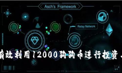 如何有效利用12000狗狗币进行投资与交易