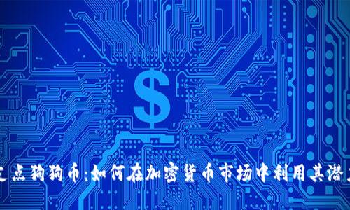 支点狗狗币:如何在加密货币市场中利用其潜力