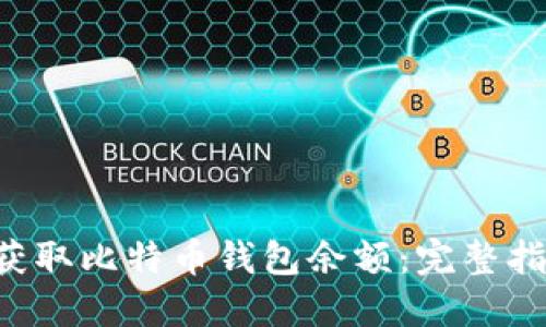 如何通过API获取比特币钱包余额：完整指南与实用技巧