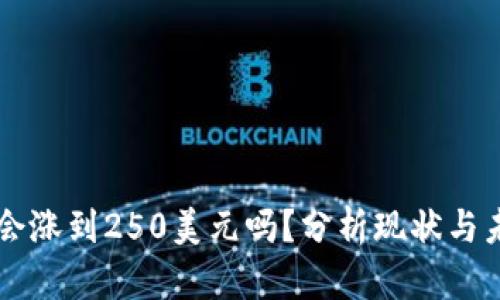 狗狗币会涨到250美元吗？分析现状与未来潜力