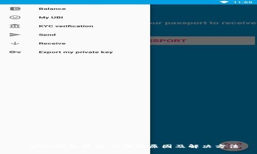 : RVN钱包停止工作的原因及解决方法