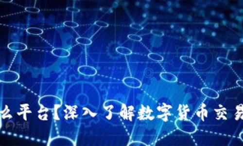 币coin是什么平台？深入了解数字货币交易的核心概念