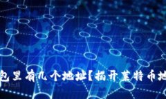 莱特币钱包里有几个地址