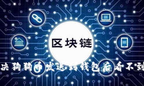 如何解决狗狗币发送到钱包后看不到的问题