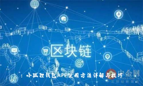 : 小狐狸钱包APP使用方法详解与技巧