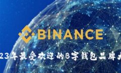 2023年最受欢迎的B字钱包品