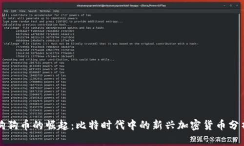 狗狗币的崛起：比特时代中的新兴加密货币分析