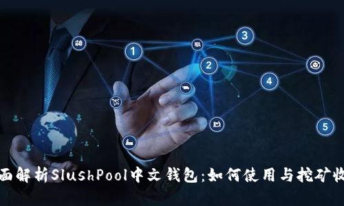 全面解析SlushPool中文钱包：如何使用与挖矿收益